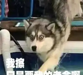  大s试过上百次娜扎拼了命也要做的平价医美项目果然效果好的出奇