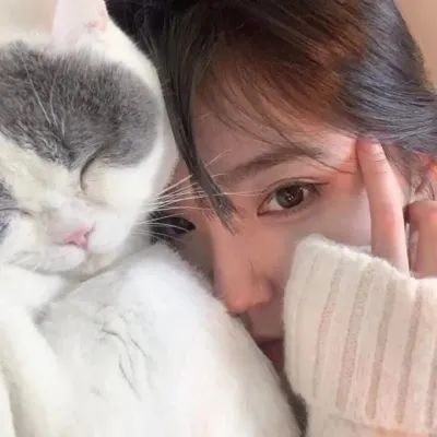 微信头像女士专用猫咪好