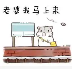  抖音哄老婆专用表情包哪里有老婆永远是对的表情包分享