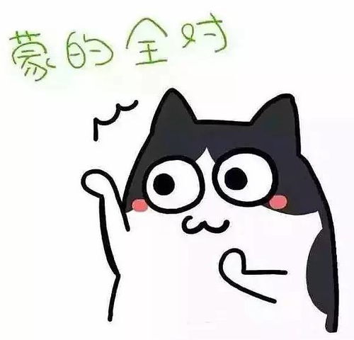  想要安心入住新房那就得有ta