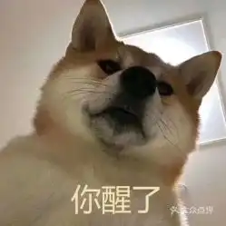  电话,地址,价格,营业时间三亚美食