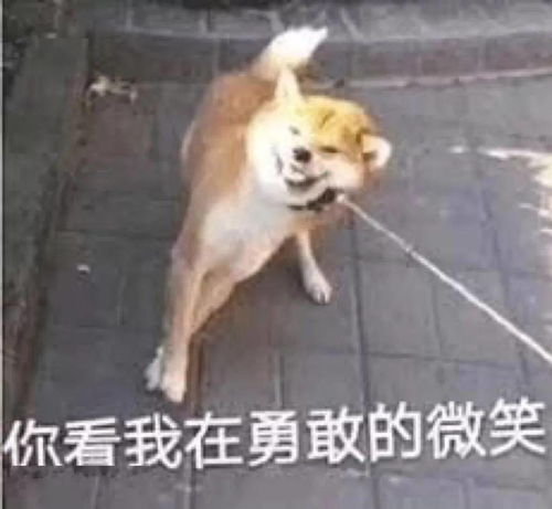  表情包我希望你过得好