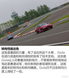  赛道体验新车试驾