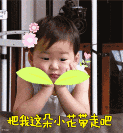  宋民国全动图原版配文字版合集