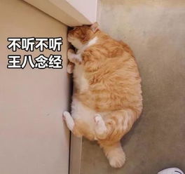  在惠州,验收新房时一定要检查什么