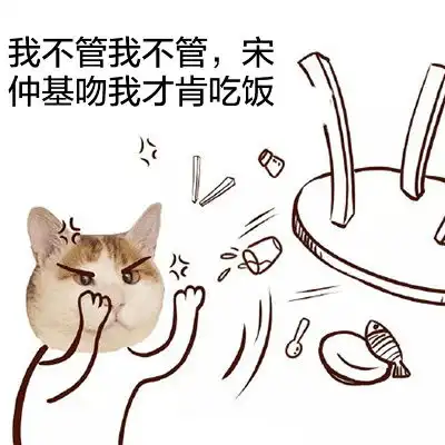  猫头宋仲基表情包