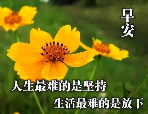 早早上好表情包问候语