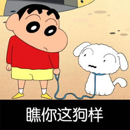  既然能重来,小撒选李白