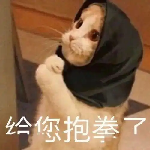  沙雕表情你能出来给我磕个头