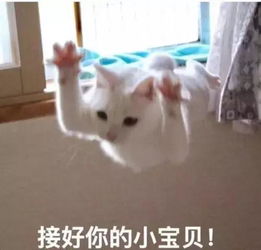 吃了吗图片隐藏屎字恶搞