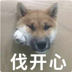  柴犬齐天表情包第二弹