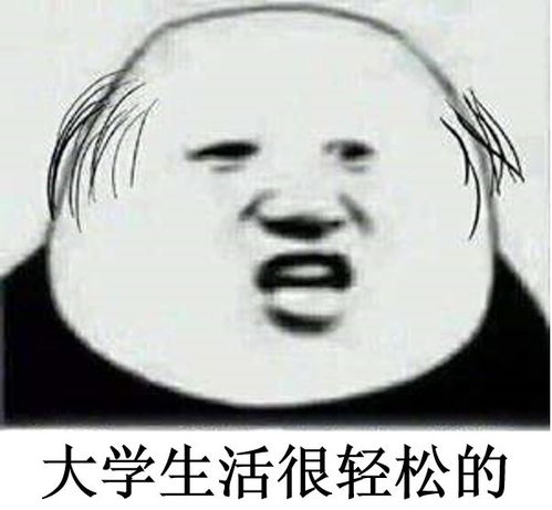  4年的本科,我选择5年读完学期