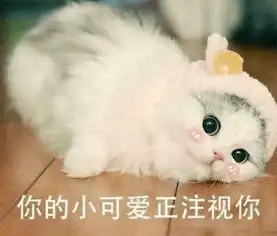  你娶的是老婆,还是人肉洗碗机