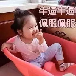  必备最火仙女必备表情包小刚几你居然还不知道附全套表情包下载