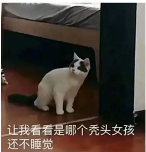  太糟心我是不是要秃了下沙一女子年纪轻轻面临脱发难题这些脱发的坑,你踩中几条