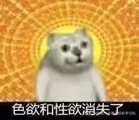  奇怪的姿势增加了这只突然占据全网表情包的沙雕猫,竟然是