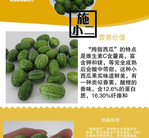  绿瓤拇指西瓜当季新鲜水果迷你网红小西瓜佩普基诺125g0.5斤1斤盒