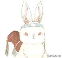  魔道祖师不同风格的蓝忘机,严肃风格不好惹,醉酒蓝湛惹人疼