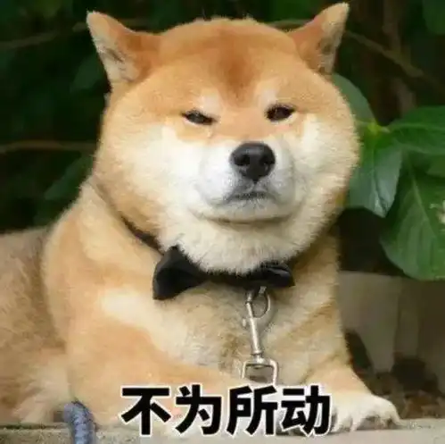  端午安康祝各位小伙伴节日快乐