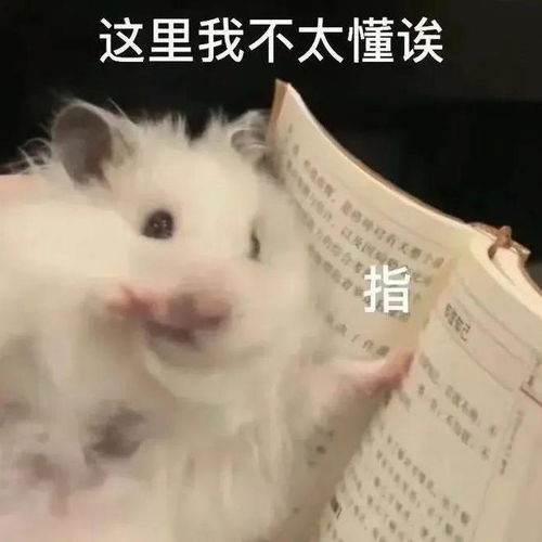  限时半价前戏教学视频,是真的,速来