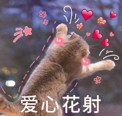  这些巴黎之最隐秘的角落,一般人不知道你都去过吗