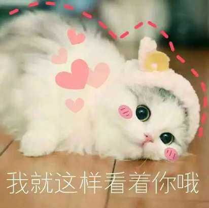 嗷呜表情包可爱