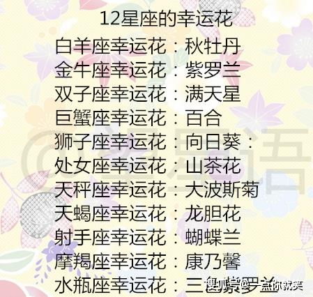  12星座你有多少剩女隐患12星座的幸运花