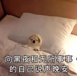 关于晚安的图片表情包单