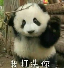  这个帅气的飞行员小哥哥刷屏了长得像朱亚文和段奕宏的结合体...