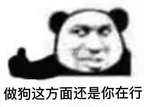 金馆长熊猫表情包无字沙