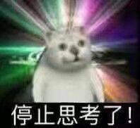 mur猫表情包表情包