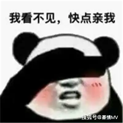  热门的经典微信表情图片2022群聊斗图表情包大全