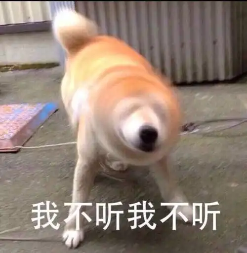  其实你与宪法如此亲近