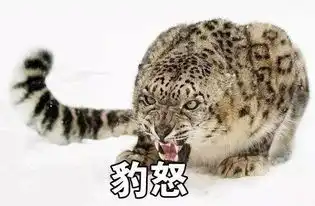  表情包丨可以说是非常豹笑了