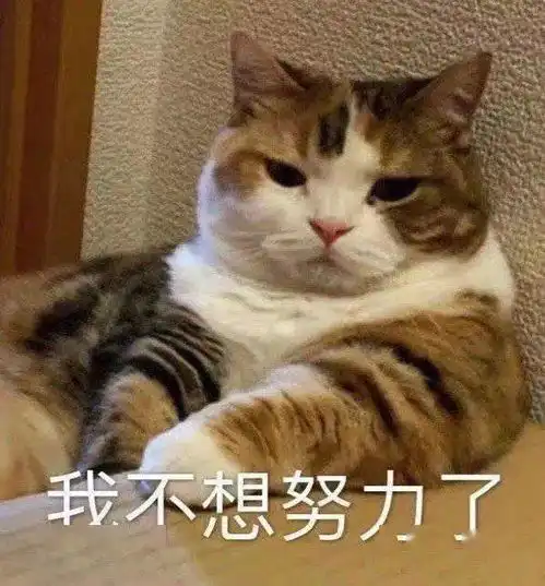  省薪秘籍来了嘉兴这个年中盛典终极攻略已上线带你建材家居家电一站式购齐