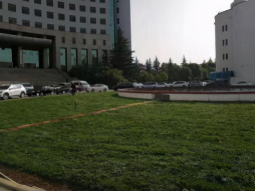  铜川市机关事务管理服务中心多措并举推动我为群众办实事落地