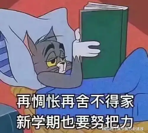  网易村通网大学正式开学请各位村民自觉入学