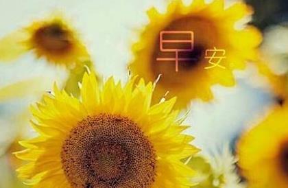 早安的表情包微信早安心