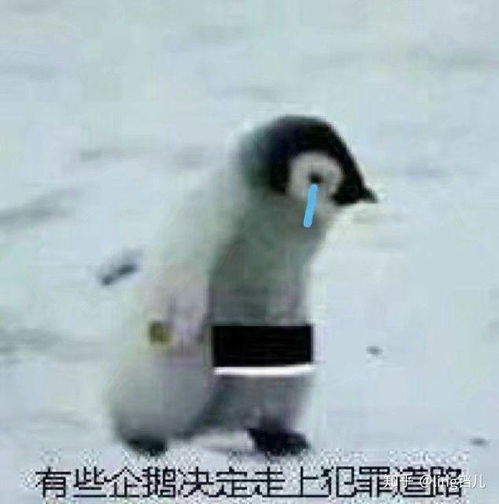  为什么女性二次元爱好者在自拍时多用手机挡脸