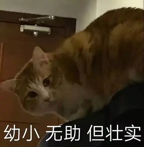  救命怎么赶走一只企图在宿舍筑巢的蜂