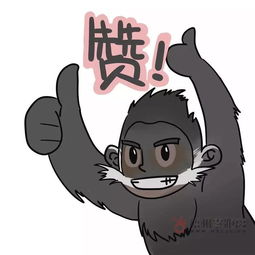  梧州零距离网原创