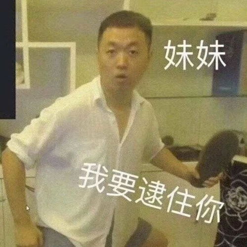 回表情包是不想聊了吗爱