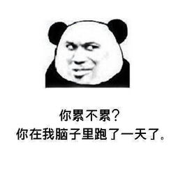 情侣之间的套路表情包情