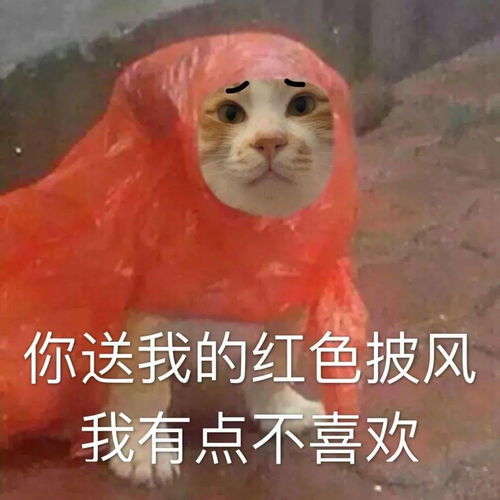  whotmcare第214期表情包
