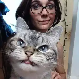  你连表情包里猫的名字都不知道,还敢说爱猫