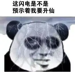 网络小说