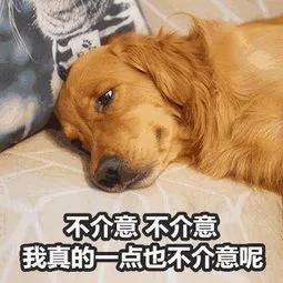  多笋新校区vs老校区的宿舍差距也太大了吧