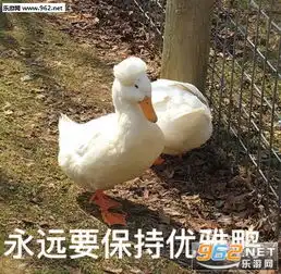  你知道的太多了表情包图片你根本不是自己人拿枪表情包下载乐游网游戏下载
