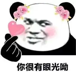 你是属于我的表情包熊猫