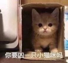 女生专用头像图片大全表